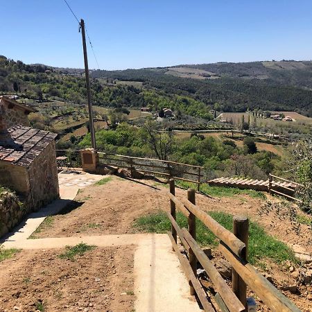 Podere Soccorso Casa Vigneto Montalcino Zewnętrze zdjęcie