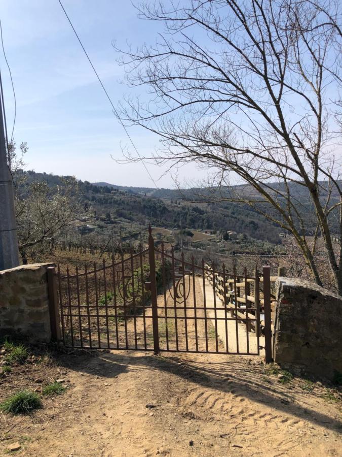 Podere Soccorso Casa Vigneto Montalcino Zewnętrze zdjęcie