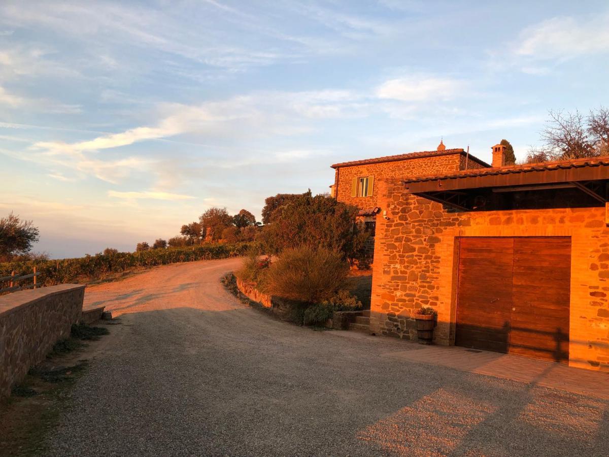 Podere Soccorso Casa Vigneto Montalcino Zewnętrze zdjęcie