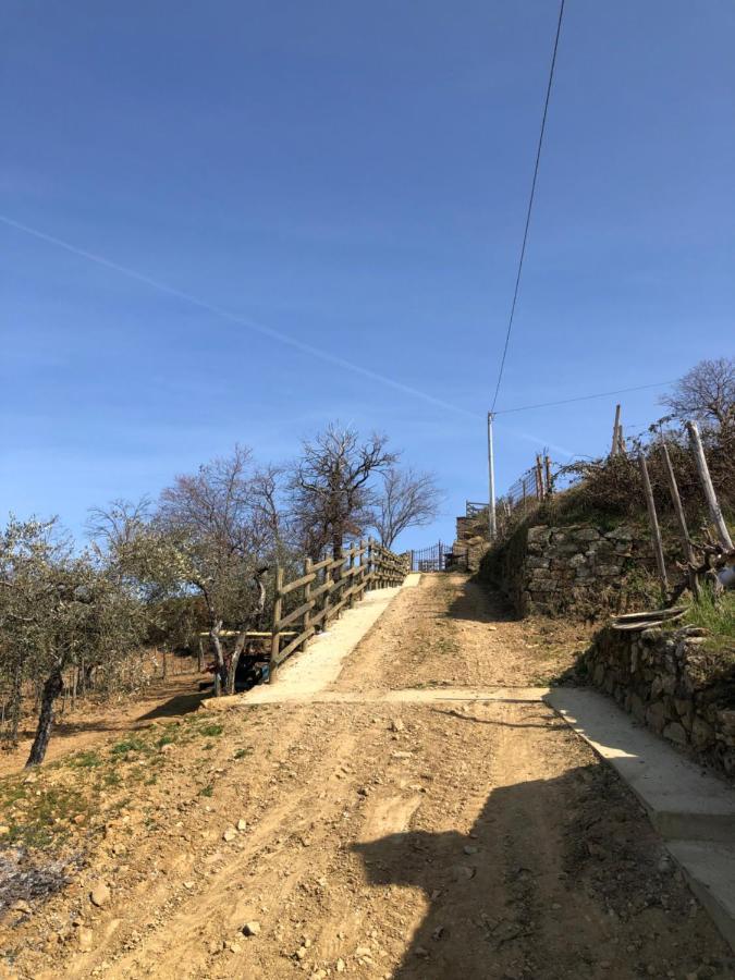 Podere Soccorso Casa Vigneto Montalcino Zewnętrze zdjęcie