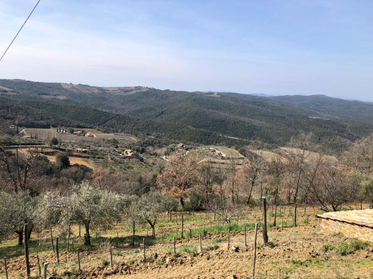 Podere Soccorso Casa Vigneto Montalcino Zewnętrze zdjęcie