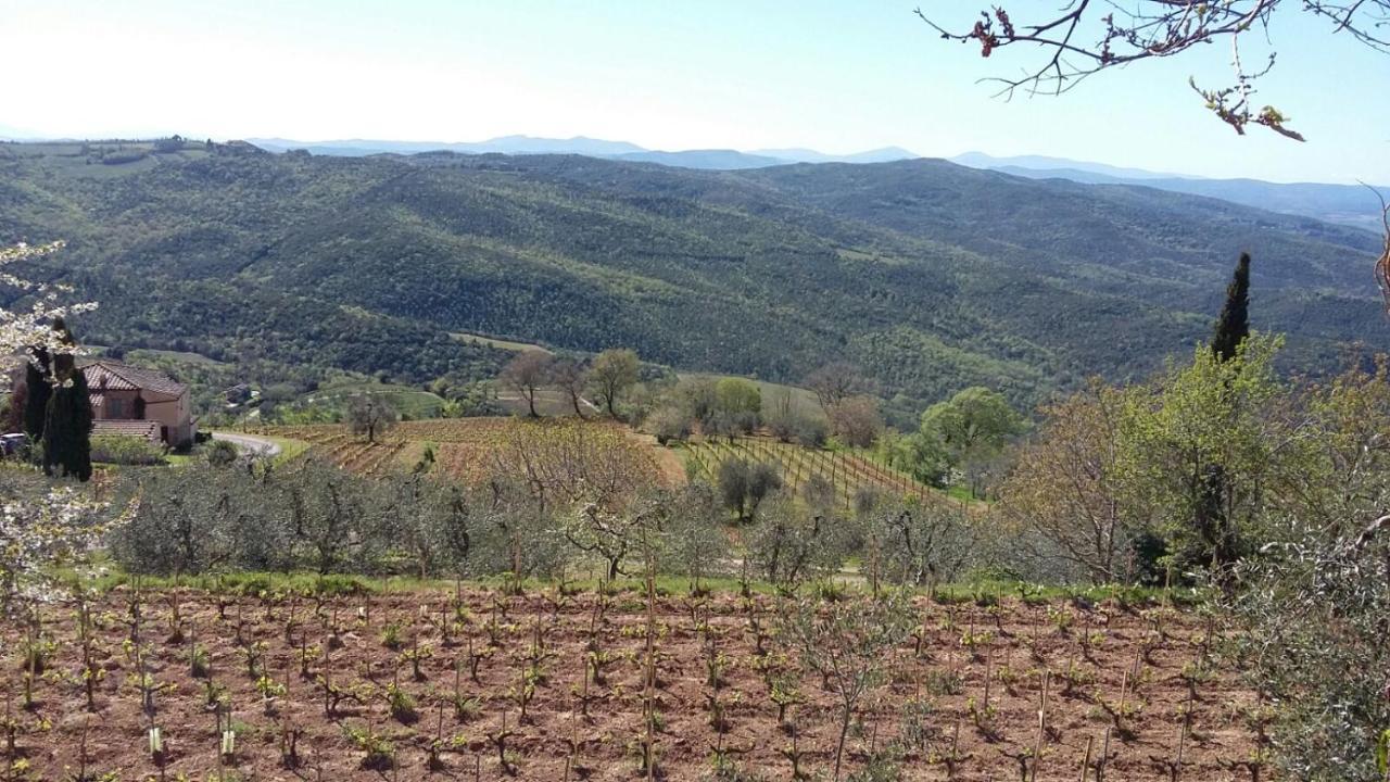 Podere Soccorso Casa Vigneto Montalcino Zewnętrze zdjęcie