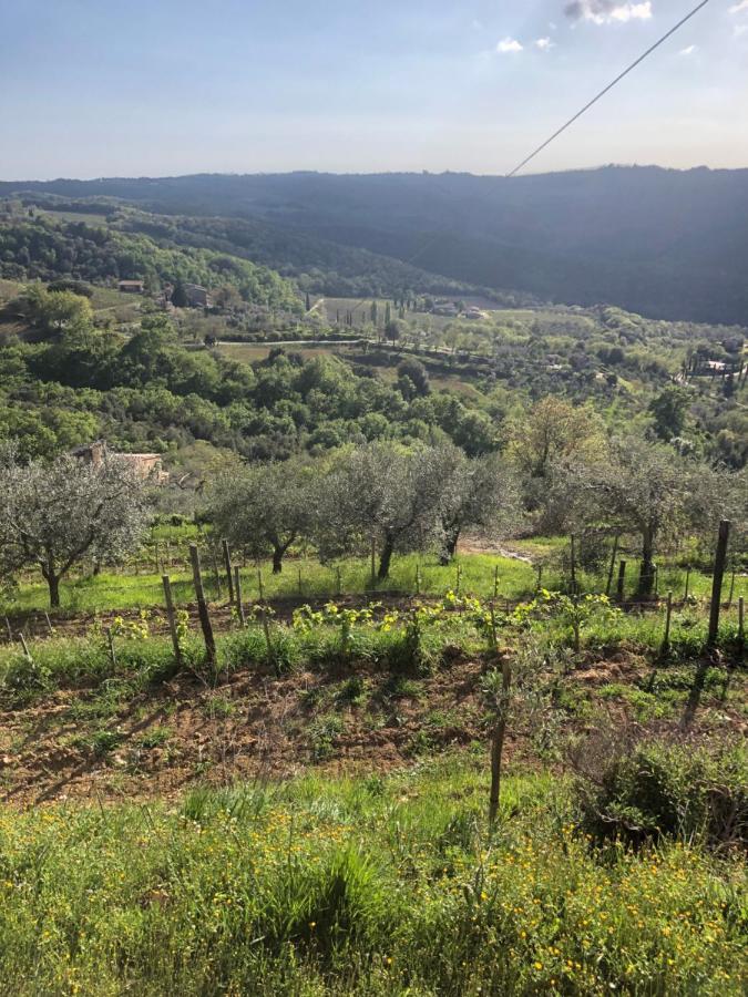 Podere Soccorso Casa Vigneto Montalcino Zewnętrze zdjęcie