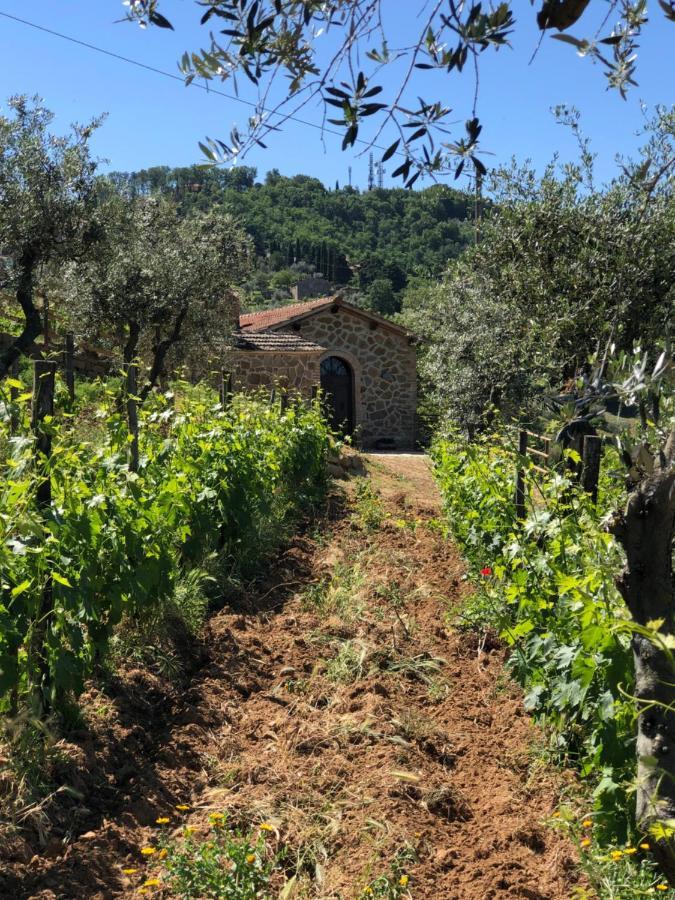 Podere Soccorso Casa Vigneto Montalcino Zewnętrze zdjęcie